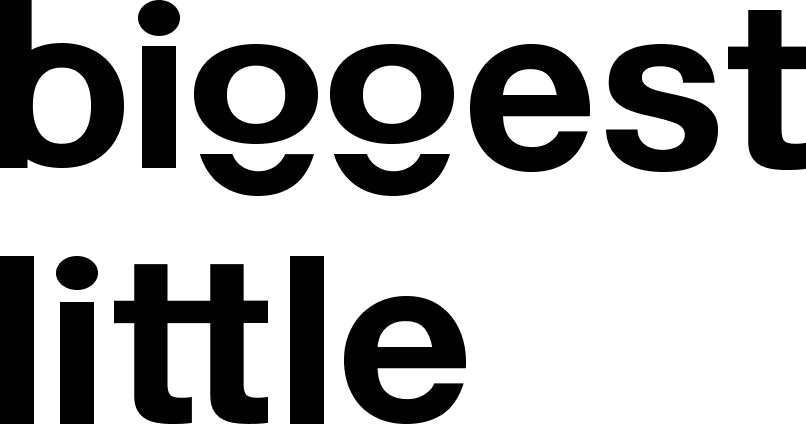 Biggest Little logo