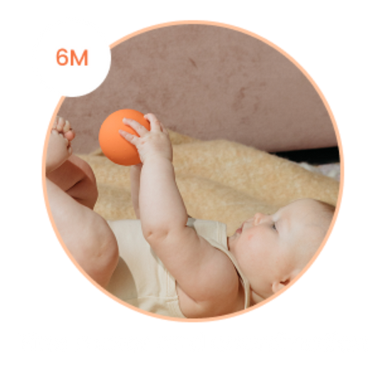 a baby holding an orange b is for ball® showcasing a 6m old use it for fine motor and coordination training